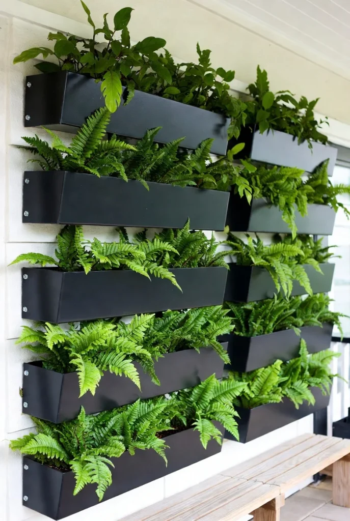 Front Porch Fern Wall