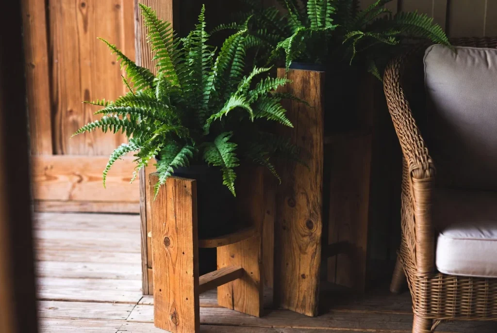 Rustic Wooden Stands